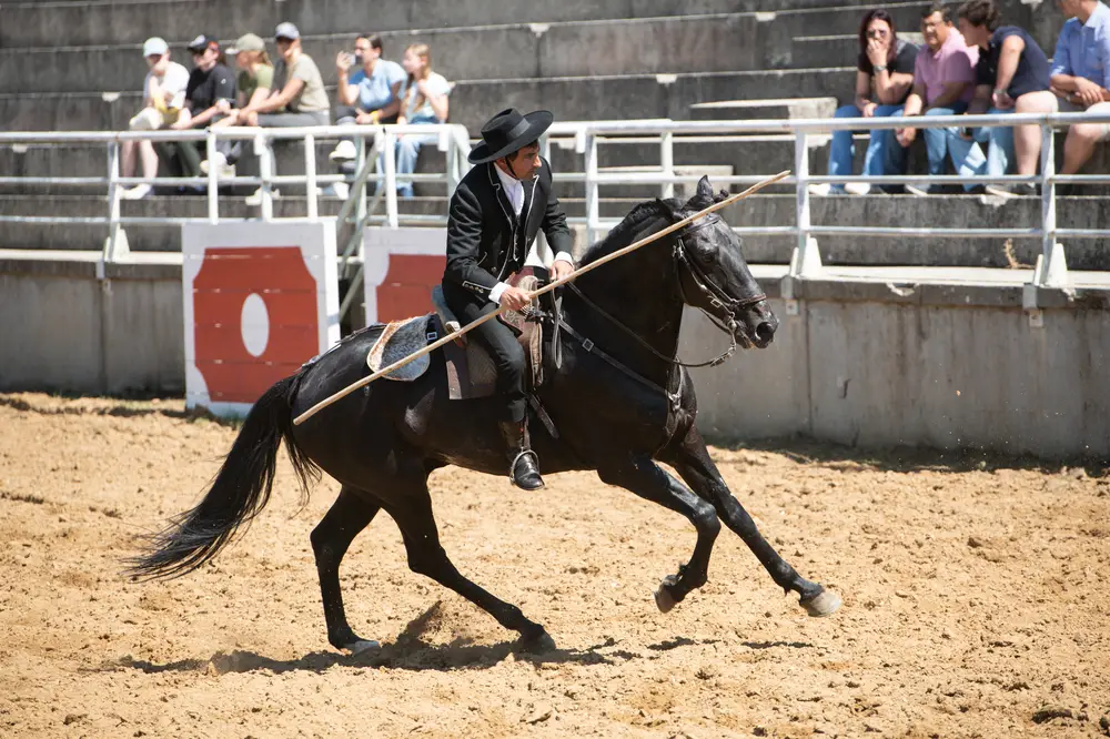 Momento da Feira Nacional de Agricultura 9